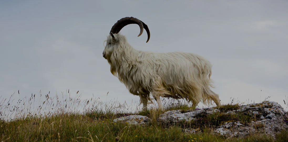 slider image slider_item_feACtM